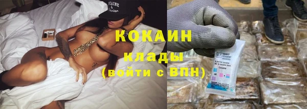 mix Богородицк