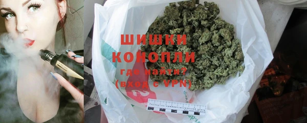 mix Богородицк