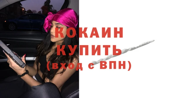 mix Богородицк