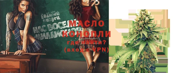 mix Богородицк